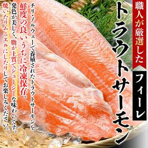 トラウトサーモンフィーレ(計2.3kg・2枚入)魚 魚介 海鮮 サケ さけ しゃけ 切り身 切身 フィレ 冷凍 小分け 【sm-AC007】【大昇食品】