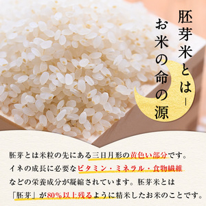 ＜7～9月配送不可＞鳥取県産胚芽米(計7kg・5kg袋 / 2kg袋)鳥取県 鳥取産 お米 おこめ 精米 おにぎり おむすび ごはん お弁当 常温 健康 ビタミン 食物繊維【sm-CL001】【豆ひとつぶ】