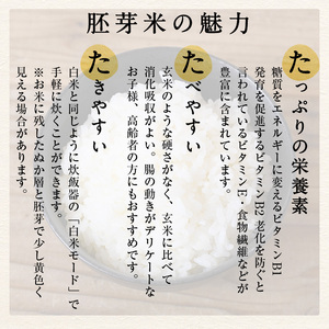 ＜7～9月配送不可＞鳥取県産胚芽米(計7kg・5kg袋 / 2kg袋)鳥取県 鳥取産 お米 おこめ 精米 おにぎり おむすび ごはん お弁当 常温 健康 ビタミン 食物繊維【sm-CL001】【豆ひとつぶ】