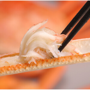 境港産松葉がにボイル姿　計600ｇ（小サイズ2枚）