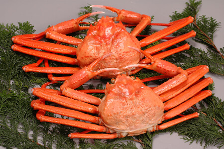 境港産 松葉がに・紅ずわいがに 食べ比べセット