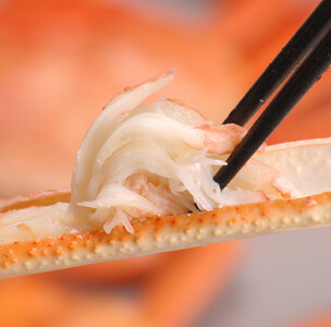 境港産松葉がにボイル姿 計2.4kg以上(小サイズ8枚)