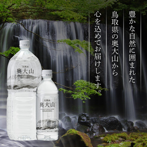 ＜定期便6回＞天然水奥大山(2L×12本入り×6か月・計72本)【sm-CB004】【江府町地域振興】
