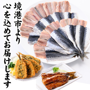 境港産 無塩いわしひらき(計40尾)【sm-CD002】【羽根】