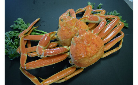 ＜土日祝着＞＜11月中旬～2月末頃順次配送予定＞タグ付きだけが松葉じゃない!!茹で松葉がに(足欠2尾/約1.3～1.4kg)