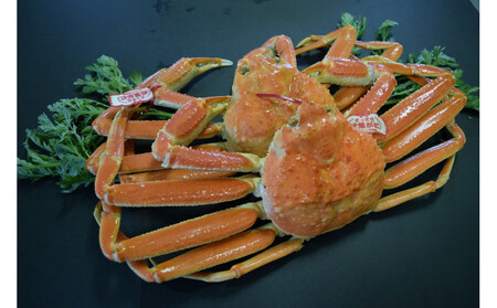 ＜土日祝着＞＜11月中旬～2月末発送予定＞特撰！茹で松葉がに大サイズ(タグ付き・2尾/1.4～1.5kg)