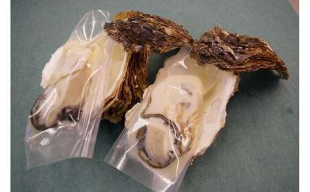 ＜土日祝着＞＜6月中旬～7月上旬頃順次配送＞今が旬！天然岩牡蠣(5～6個)