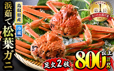 ＜月～木着※指定日不可＞＜11月中旬～2月末発送予定＞浜茹松葉ガニ足欠(2枚/計約800g以上)国産 境港 かに カニ 松葉ガニ 松葉蟹 訳あり 浜茹で 海鮮 蟹味噌 かに味噌 鍋 冷蔵【sm-BE001-C】【川口商店】