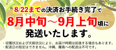 ＜先行予約受付中！8月中旬～9月上旬発送予定＞新甘泉梨(計5kg)ふるさと納税 境港市 特産品 新甘泉 なし ナシ 果物 くだもの フルーツ 鳥取県産 お取り寄せ 旬 果汁 ジューシー 糖度【sm-AD015】【ウチダフーズ】