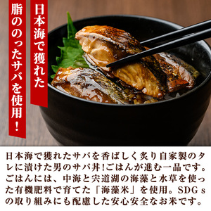 男のサバ丼 (5食) 蒲焼丼 冷凍サバ丼 さば 鯖 どんぶり 炙り 海鮮 魚 ご飯 海藻米 日本海 ランチ ディナー 簡単 冷凍【sm-AV005】【元気亭ぐるーぷ】