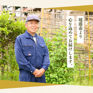 野草茶バラエティーAセット(計50袋) ふるさと納税 境港市 特産品 国産 鳥取県 鳥取県産 境港市 お茶 茶葉 緑茶 ブレンド茶 ティーパック 贈り物 ギフト 贈答品【sm-BI001-A】【サンミサキ】