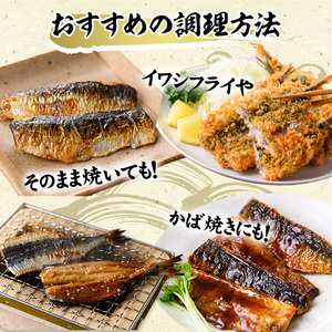 境港産いわし三昧セット(フィレ、ひらき、みりん干し) 鳥取県 境港市 いわし イワシ 鰯 フィレ ひらき みりん干し 蒲焼 天ぷら フライ 塩焼き 鮮魚 魚 魚介 海鮮 海の幸 お取り寄せ【sm-CD008】【羽根】