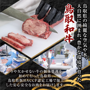 A5鳥取県産黒毛和牛サーロインステーキ(2枚) 国産 鳥取和牛 黒毛和牛 牛肉 赤身 サーロイン ステーキ 【sm-DH001-A】【カタセイ】