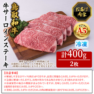 A5鳥取県産黒毛和牛サーロインステーキ(2枚) 国産 鳥取和牛 黒毛和牛 牛肉 赤身 サーロイン ステーキ 【sm-DH001-A】【カタセイ】