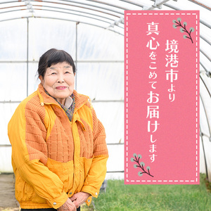 <先行予約受付中!11月上旬~3月下旬発送予定>白ねぎ(約5kg) ねぎ 白ねぎ ネギ 白ネギ 葱 旬 煮込み 炒め 生 和洋中 万能 鍋 鍋料理 【sm-DI004】【大原茂美】