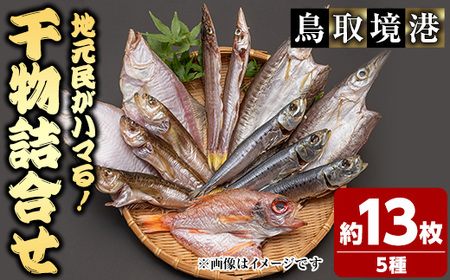 人気干物詰め合わせセット(約13枚) 国産 魚介 干物 干し物 海の幸 エテカレイ アジ カマス イカ タイ 冷凍 おかず おつまみ お土産 【sm-DG004-B】【木村鮮魚店】