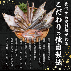 人気干物詰め合わせセット(約13枚) 国産 魚介 干物 干し物 海の幸 エテカレイ アジ カマス イカ タイ 冷凍 おかず おつまみ 【sm-DG004-B】【木村鮮魚店】