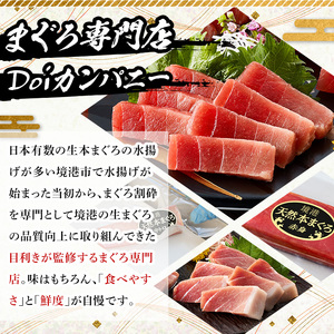 ＜数量限定＞境港産本まぐろ3種セット(計約450g) 大トロ 中トロ 赤身 マグロ 本マグロ まぐろ 本まぐろ 鮪 魚介 海鮮 海の幸 冷凍 【sm-DM001】【Doiカンパニー】