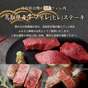 ＜和牛セレブ＞鳥取県産牛フィレ(ヒレ)ステーキ(5枚) 国産 鳥取県産 牛肉 フィレ ヒレ ステーキ 贈答用 【sm-DC012】【Giverichホールディングス】