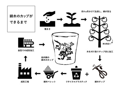 伯州綿の綿木のカップ(1個) 鳥取県 日用品 雑貨 伯州綿 コップ 食器 綿木 アップサイクル 【sm-BJ004】【境港市農業公社】