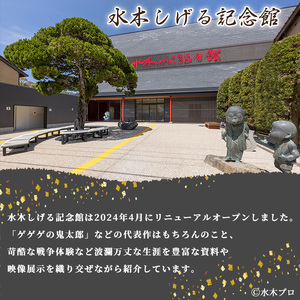 水木しげる記念館 年間パスポート(一般・1名様分/引換券1枚) ふるさと納税 境港市 特産品 水木しげる記念館 水木しげる ゲゲゲの鬼太郎 鬼太郎 パスポート 年間パスポート 観光 水木しげるロード 年パス チケット 利用券 入館券 【sm-DP001】【水木しげる記念館管理運営共同事業体】