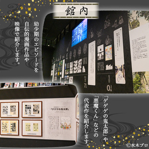 水木しげる記念館 年間パスポート(一般・1名様分/引換券1枚) ふるさと納税 境港市 特産品 水木しげる記念館 水木しげる ゲゲゲの鬼太郎 鬼太郎 パスポート 年間パスポート 観光 水木しげるロード 年パス チケット 利用券 入館券 【sm-DP001】【水木しげる記念館管理運営共同事業体】