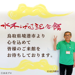 水木しげる記念館 年間パスポート(一般・1名様分/引換券1枚) ふるさと納税 境港市 特産品 水木しげる記念館 水木しげる ゲゲゲの鬼太郎 鬼太郎 パスポート 年間パスポート 観光 水木しげるロード 年パス チケット 利用券 入館券 【sm-DP001】【水木しげる記念館管理運営共同事業体】