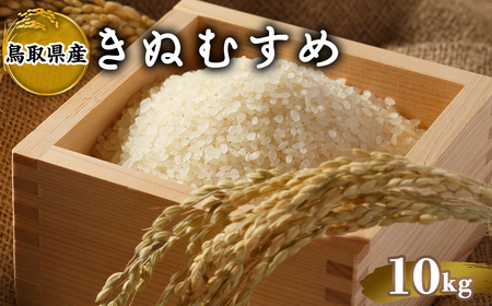 ＜2025年10月中旬～2026年8月下旬発送予定＞＜数量限定＞令和7年産米鳥取県産きぬむすめ(10kg) 国産 米 お米 おこめ 白米 精米 おにぎり おむすび ごはん お弁当 常温 【sm-DD067】【Workplays】