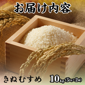 ＜2025年10月中旬～2026年8月下旬発送予定＞＜数量限定＞令和7年産米鳥取県産きぬむすめ(10kg) 国産 米 お米 おこめ 白米 精米 おにぎり おむすび ごはん お弁当 常温 【sm-DD067】【Workplays】