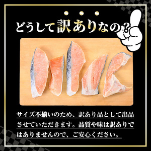 訳あり定塩銀鮭切身(2kg) 時短 便利 魚介類 魚 海鮮 鮭 サーモン 冷凍 切り身 塩切身 不揃い 【sm-AC011】【大昇食品】