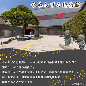水木しげる記念館 プレミアム ナイトミュージアム(案内状1枚/10名まで可能) 妖怪 水木しげる ゲゲゲの鬼太郎 鬼太郎 ギャラリートーク 【sm-DP004】【水木しげる記念館管理運営共同事業体】
