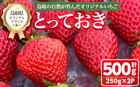 ＜数量限定！期間限定！＞＜先行予約受付中！2026年1月中旬～3月下旬発送予定＞鳥取県オリジナルブランドのいちご「とっておき」(計500g・250g×2P) 国産 苺 イチゴ 希少品種 フルーツ 果物 果実 冷蔵 新鮮 【sm-ED001】【空のいちご】