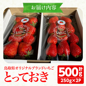 ＜数量限定！期間限定！＞＜先行予約受付中！2026年1月中旬～3月下旬発送予定＞鳥取県オリジナルブランドのいちご「とっておき」(計500g・250g×2P) 国産 苺 イチゴ 希少品種 フルーツ 果物 果実 冷蔵 新鮮 【sm-ED001】【空のいちご】