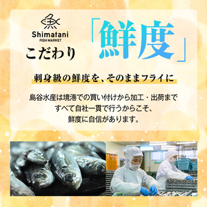鳥取県産こだわりのアジフィーレフライ(計600g) アジ 冷凍 冷凍食品 惣菜 レトルト おかず 揚げ物 お弁当 【sm-DU001-A】【島谷水産】