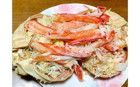 【22021】鳥取網代港【訳あり】浜茹で！松葉ガニ（大）800g【さかなや新鮮組】