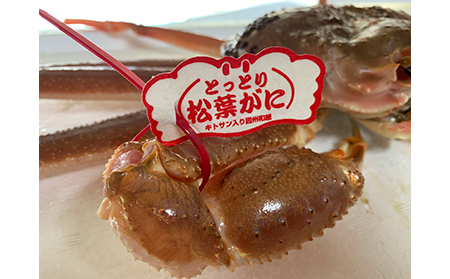 【22023】鳥取網代港【ブランドタグ付】浜茹で！極上松葉ガニ（大）800g【さかなや新鮮組】