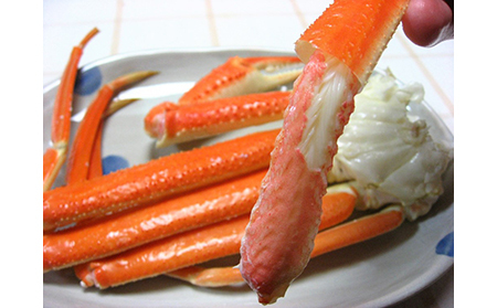 【22035】鳥取網代港　地元で大人気　浜茹で！若松葉ガニ（中5枚10肩）【さかなや新鮮組】