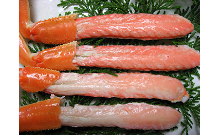 【22035】鳥取網代港　地元で大人気　浜茹で！若松葉ガニ（中5枚10肩）【さかなや新鮮組】