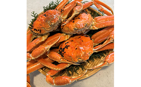 【22018】鳥取網代港【訳あり】活！松葉ガニ2kgセット【さかなや新鮮組】