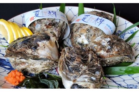 【D-4】夏輝(岩ガキ)
