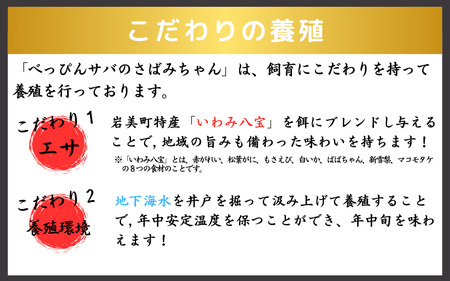 【24023】★ZIP!で紹介★ 岩美町産 「サバさし」3人前（べっぴんサバのさばみちゃん刺身）