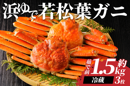 【先行予約】鳥取県岩美町特産 若松葉ガニ姿茹で 3枚セット【22043】