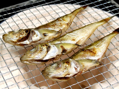 干しはたはた 1kg（3L）20尾前後【24025】鳥取 岩美 山陰 日本海 ハタ 干物