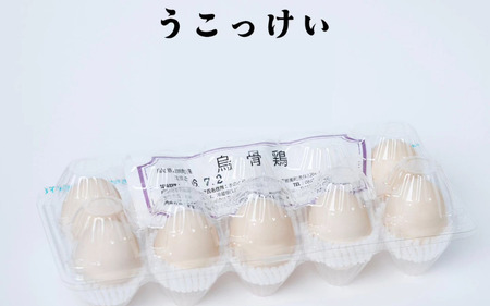 烏骨鶏！薬膳鶏の自然な恵み！卵20個セット【33001】