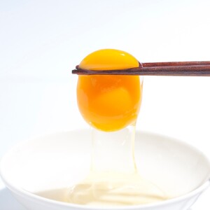 烏骨鶏！薬膳鶏の自然な恵み！卵20個セット【33001】