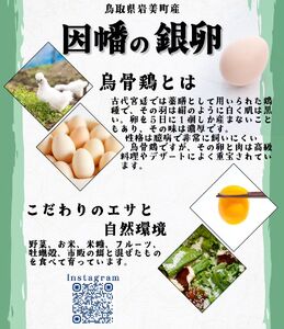 烏骨鶏！薬膳鶏の自然な恵み！卵20個セット【33001】