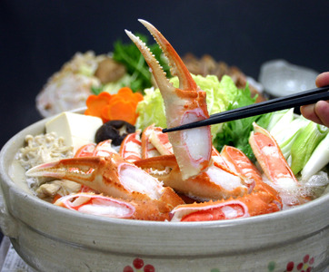 【先行予約】カニ1㎏！食べやすさ追求★調理済み（殻カット済）＋出汁付 【24027】鳥取 岩美 蟹