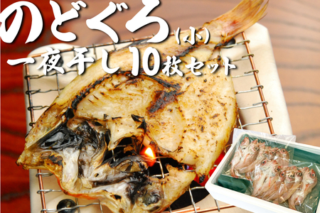 のどぐろ一夜干し 10枚【24033】｜鳥取 岩美 日本海 干物 海産物 ひもの ノドグロ