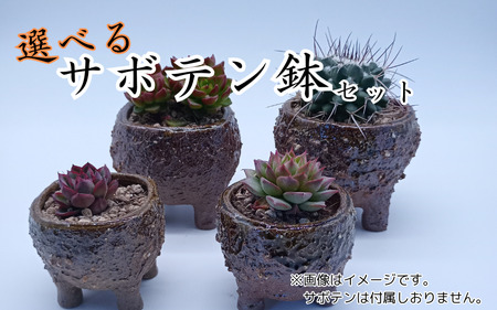 眞名焼 サボテン鉢 小＋中サイズ　｜鳥取 岩美 鉢 丸型 角型【71014】