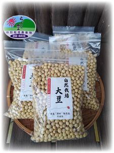 自然栽培大豆 サチユタカ 500g×5個｜鳥取 岩美 大豆 無農薬 乾燥大豆【32004】